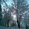 , Janusz K