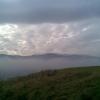 , Janusz K