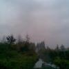 , Janusz K
