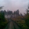 , Janusz K