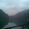 , Janusz K