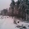 , Janusz K