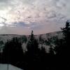 , Janusz K