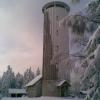 , Janusz K