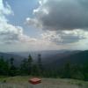 , Janusz K