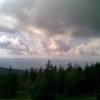 , Janusz K