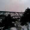 , Janusz K