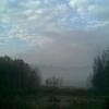 , Janusz K