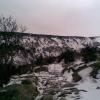 , Janusz K