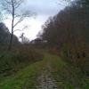 , Janusz K