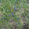 , Marek Weber