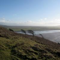 Brean Down (WSM), Bogumiła