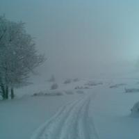 , Janusz K