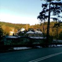 , Janusz K