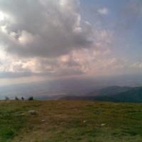 , Janusz K