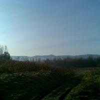, Janusz K