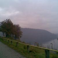 , Janusz K