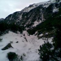 , Janusz K
