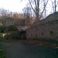 , Janusz K