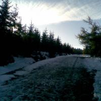 , Janusz K