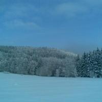 , Janusz K
