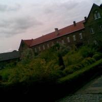 , Janusz K