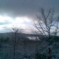 , Janusz K