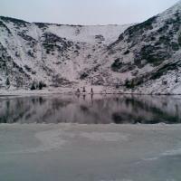 , Janusz K
