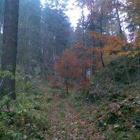 , Janusz K