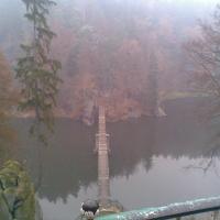 , Janusz K