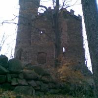 , Janusz K