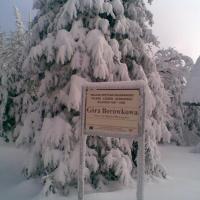 , Janusz K