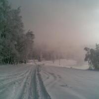 , Janusz K
