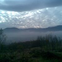 , Janusz K