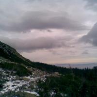 , Janusz K