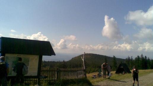 , Janusz K