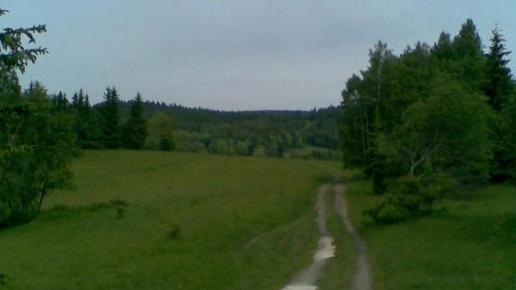 , Janusz K