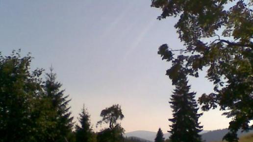 , Janusz K
