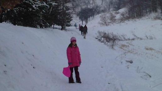, Katarzyna Jamrozik