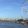 London Eye, Agnieszka