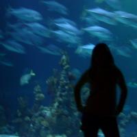 The Deep, Agnieszka