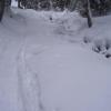 , Janek