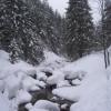 , Janek