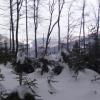 , Janek