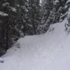 , Janek