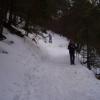 , Janek