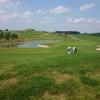 Pole golfowe, Teresa Nowak