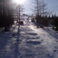 , Janek