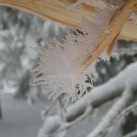 Lodowy kwiatek???, darkheush