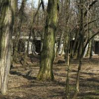 Fort Tonie, Katarzyna Jamrozik